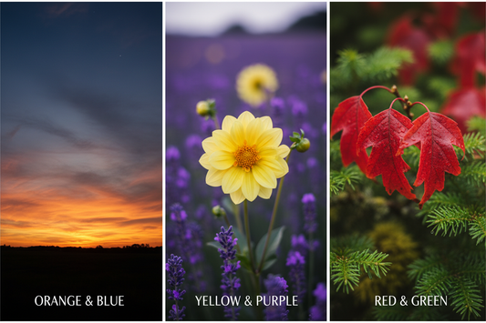 Harnessing Complementary Colors in Photography: Elevate Visual Contrast and Composition