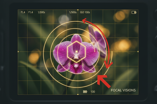Mastering Focus: Where to Direct the Viewer’s Eye in Your Photos