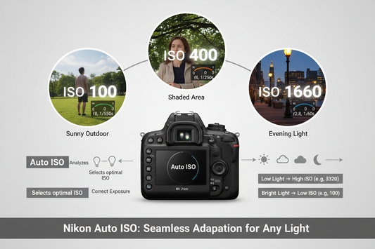 Mastering Nikon Auto ISO: Perfect Exposure in Changing Light