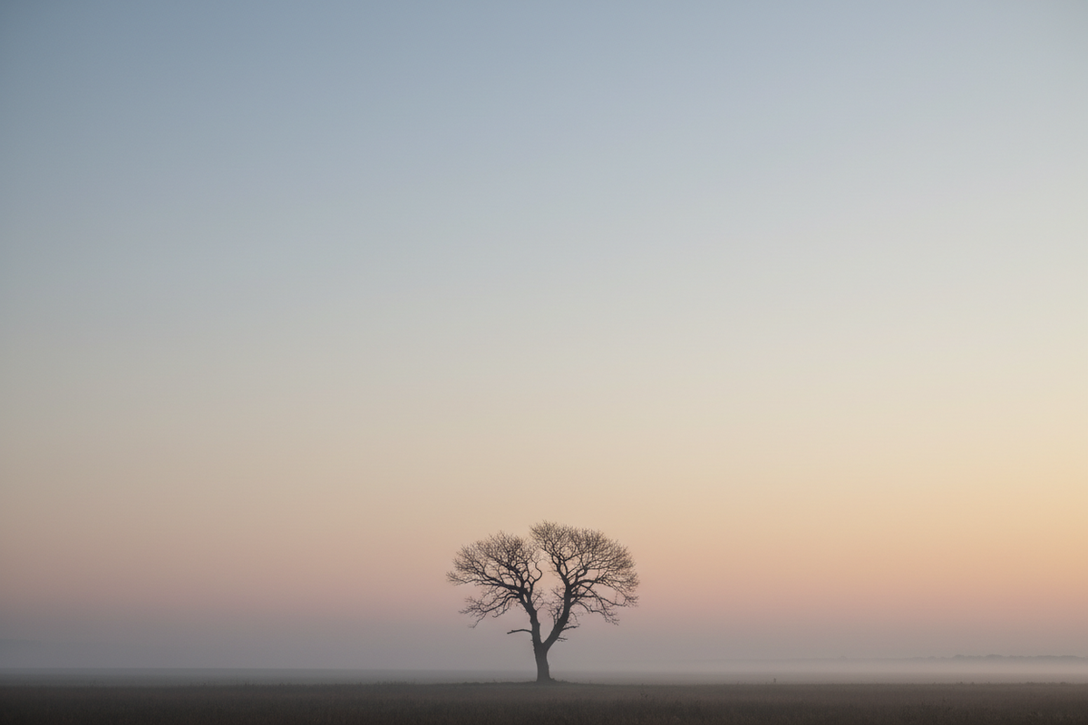 Mastering the Art of Negative Space in Photography