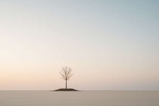 Minimalism and Negative Space: Simplify and Strengthen Your Shots
