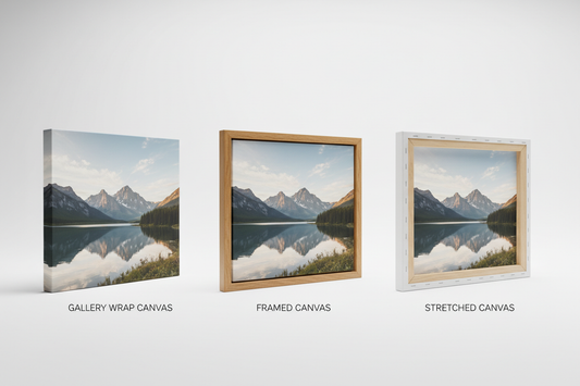 Which Canvas Print is Right for You?