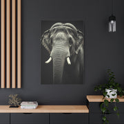 Regal Elephant Close-Up Wall Art & Canvas Prints