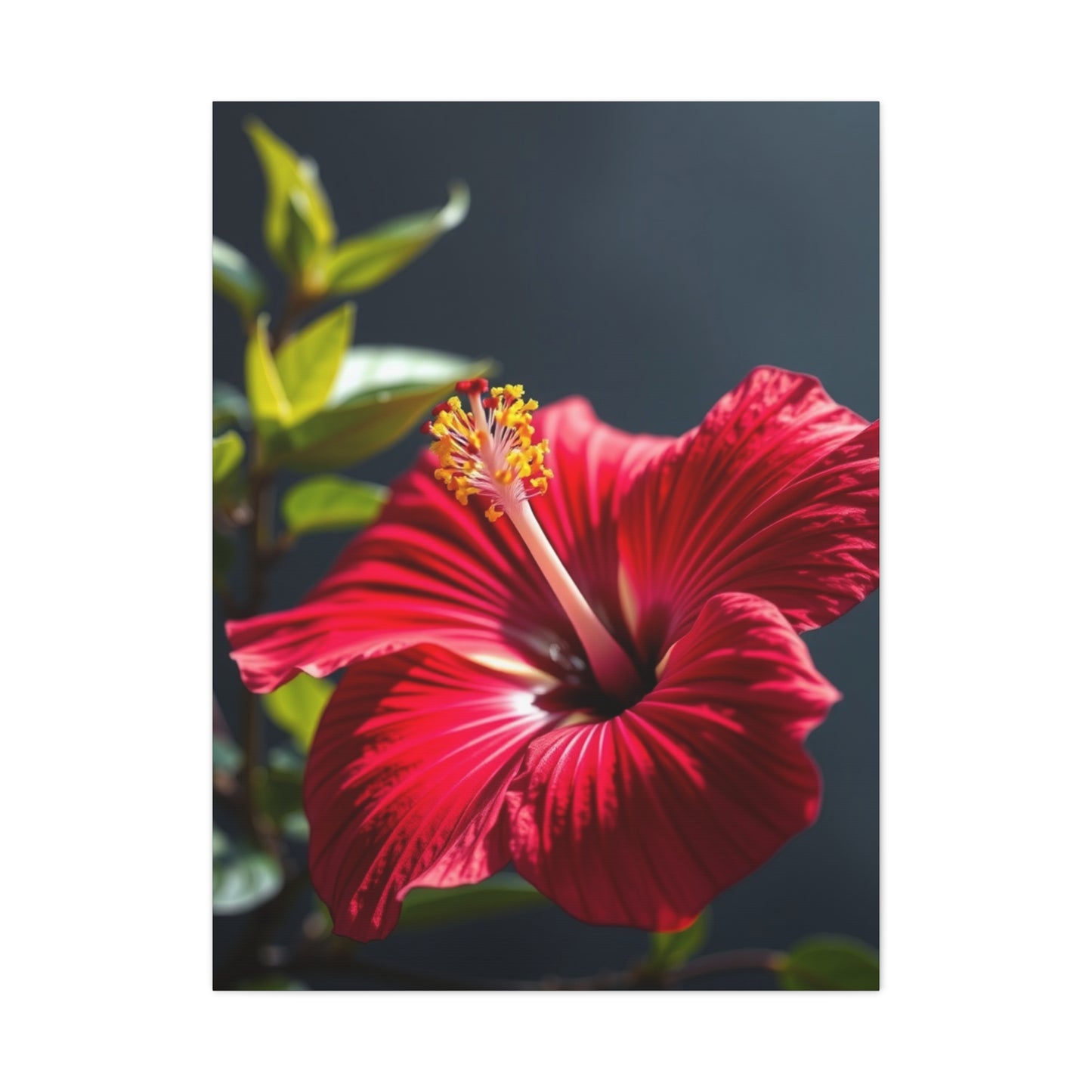 Hibiscus Flower Art Supreme Canvas Wall Art & Canvas Print