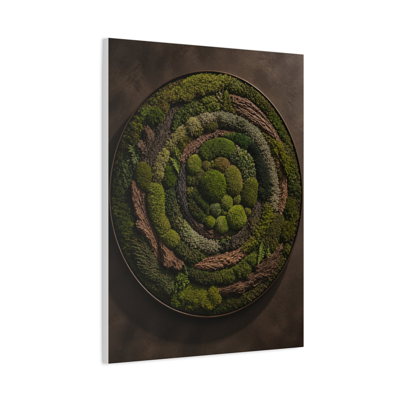 Circular Preserved Moss Relief Wall Art & Canvas Print