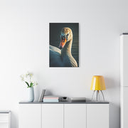 Serene Swan Reflection Wall Art & Canvas Prints