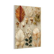 Vintage Autumn Botanical Leaf Study Wall Art & Canvas Print