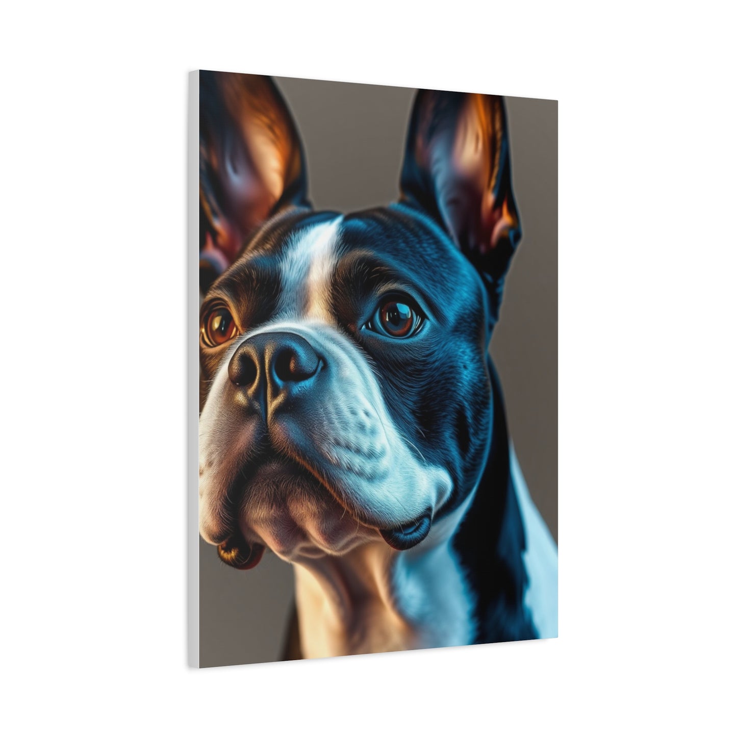 Boston Terrier Art Premium Gallery Wall Art & Canvas Print