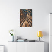 Wooden Barrel Tunnel Surf View Wall Art & Canvas Print