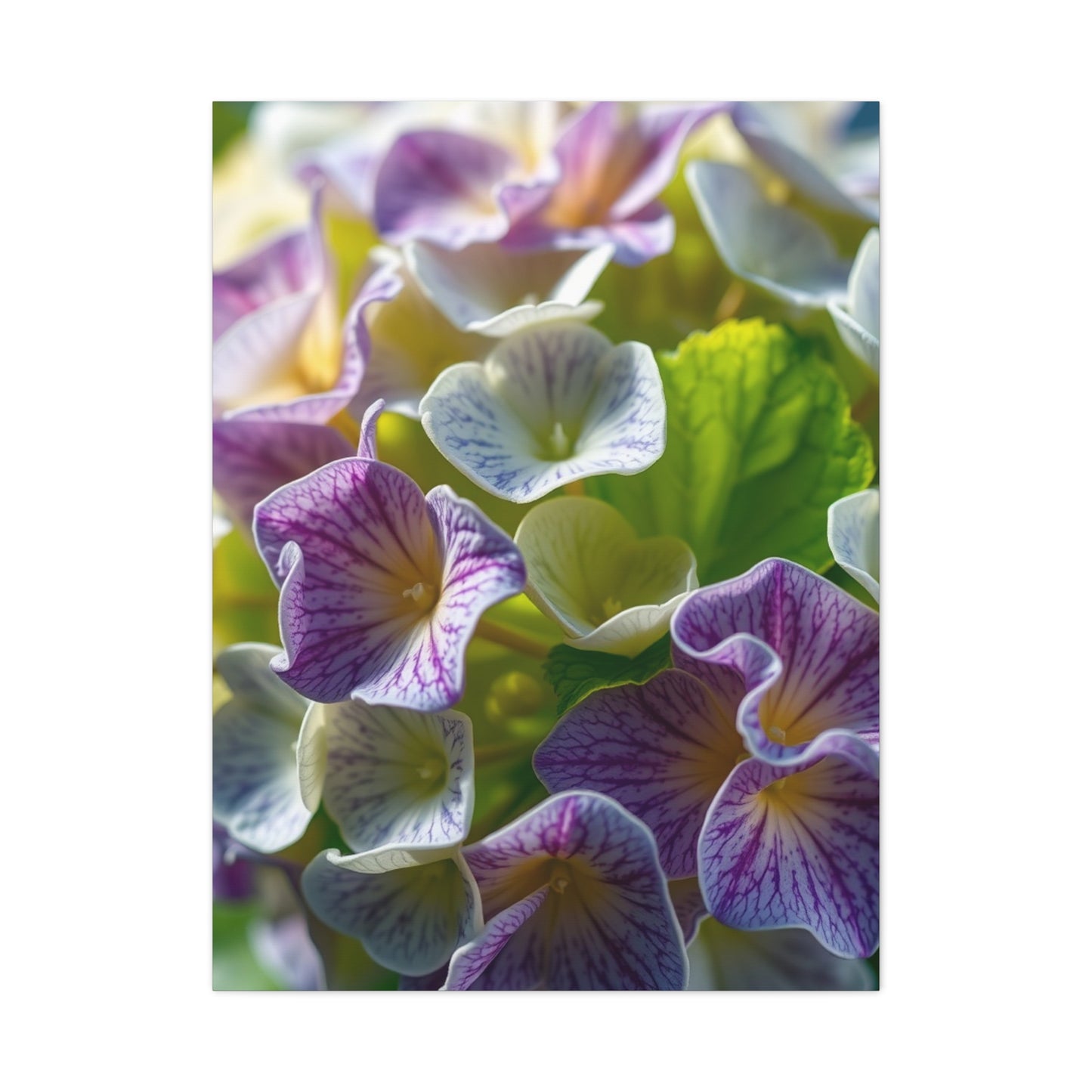 Hydrangea Flower Art Supreme Canvas Wall Art & Canvas Print