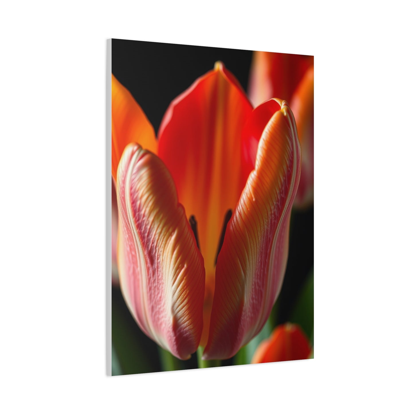 Vision Tulip Flower Art Art Wall Art & Canvas Print