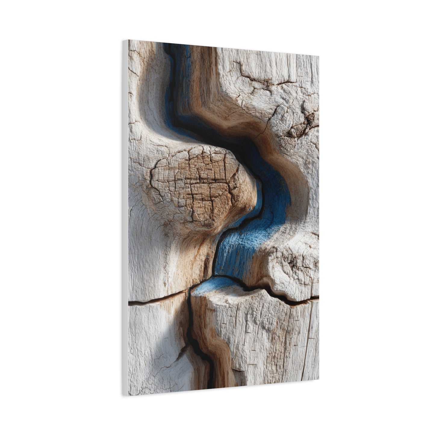 Driftwood Grain Abstract Texture Wall Art & Canvas Print