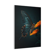Dark Swallowtail Butterfly on Orange Blossoms Wall Art & Canvas Prints