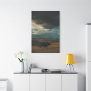 Storm Valley Black Bull Wall Art & Canvas Print