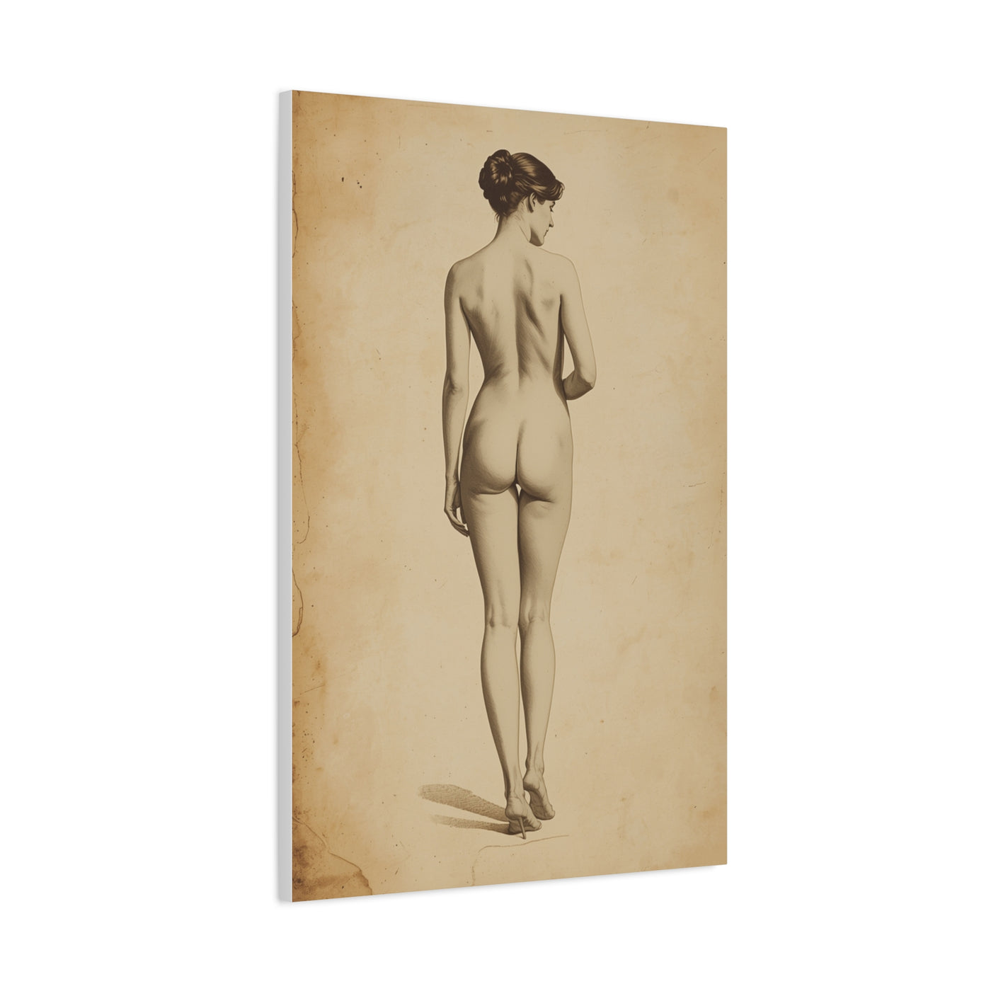 Classical Back Study Figure Wall Art & Canvas Print