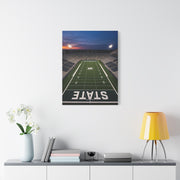 Stadium Under Lights Panorama Sports Wall Art & Canvas Print