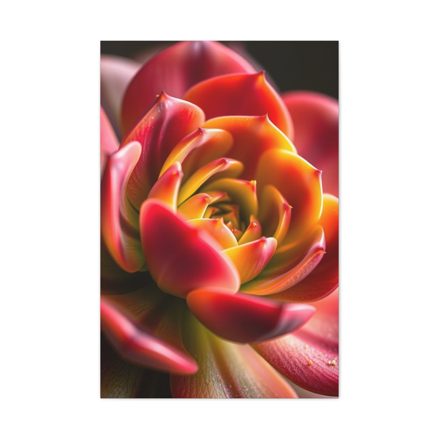 Supreme Succulent Art Beautiful Collection Wall Art & Canvas Print