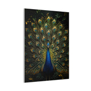 Opulent Jungle Peacock Display Wall Art & Canvas Print