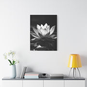 Serene Lotus Reflection Wall Art & Canvas Prints