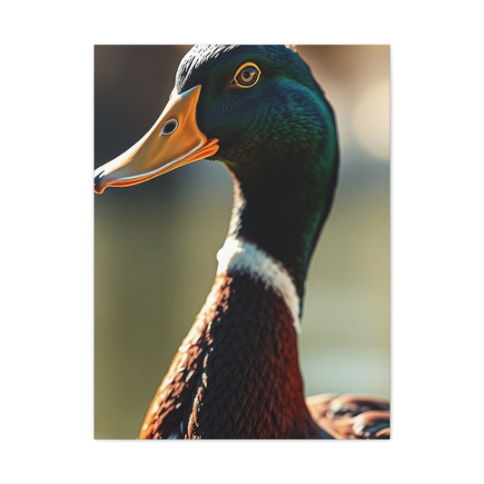 Supreme Duck Art Beautiful Collection Wall Art & Canvas Print