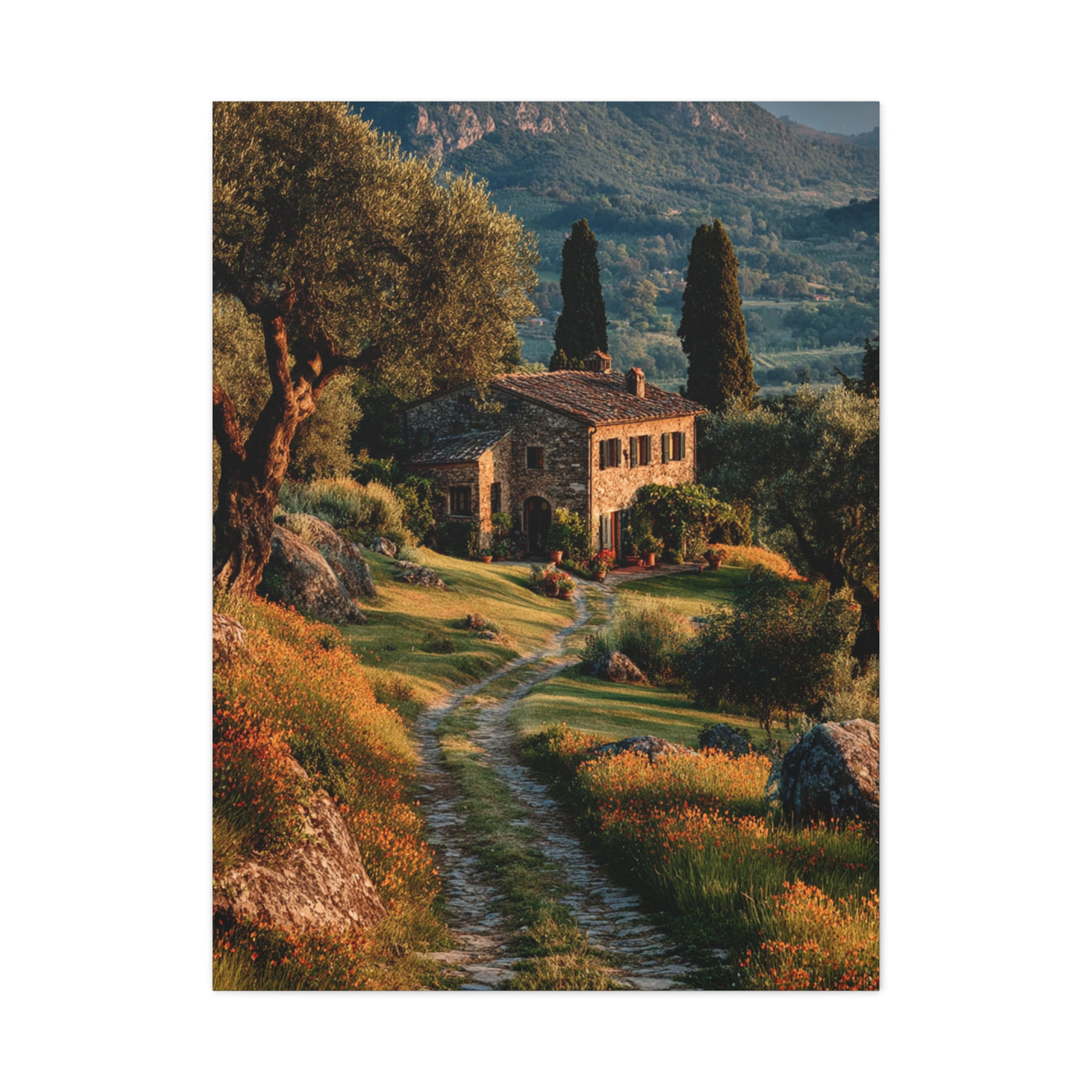 Tuscan Green Olive Grove Landscape Wall Art & Canvas Print