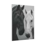 Intimate Dual Horse Monochrome Wall Art & Canvas Print