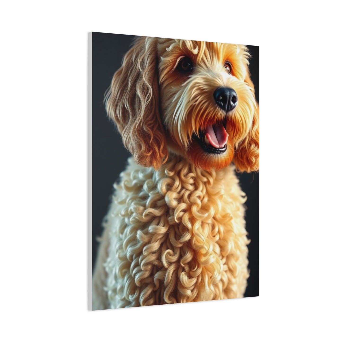 Supreme Art Golden Doodle Art Collection Wall Art & Canvas Print