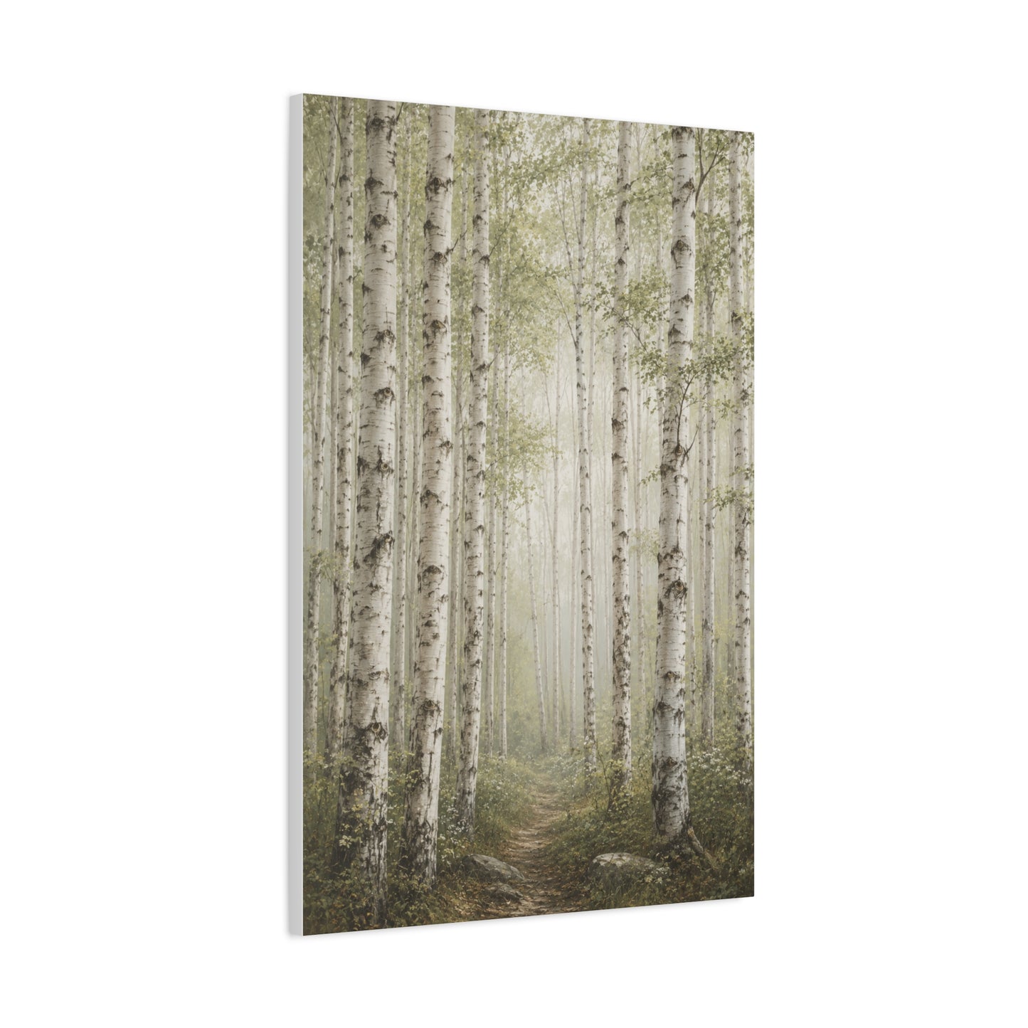 Light Birch Woodland Minimal Landscape Trees Wall Art & Canvas Print