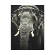 Regal Elephant Close-Up Wall Art & Canvas Prints