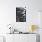Smoke Ink Monochrome Abstract Wall Art & Canvas Print