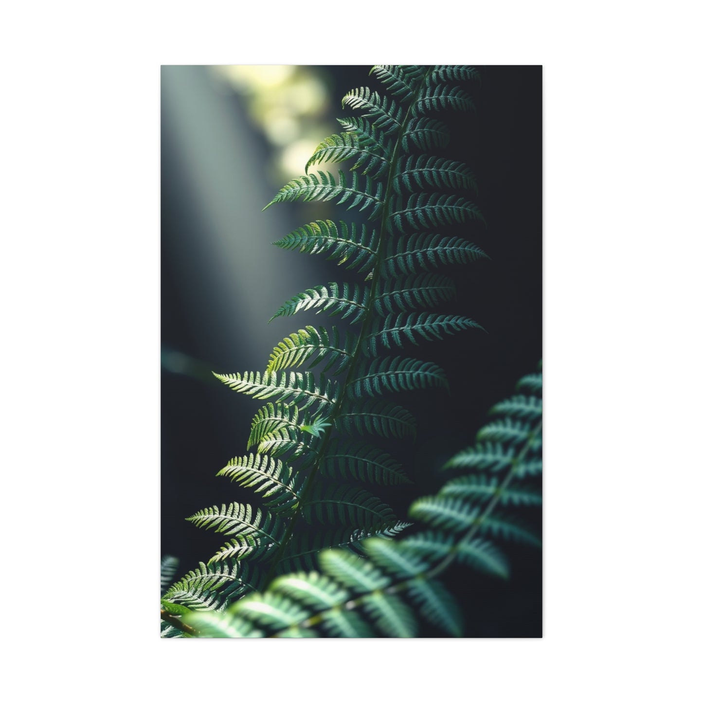 Vision Fern Art Art Wall Art & Canvas Print