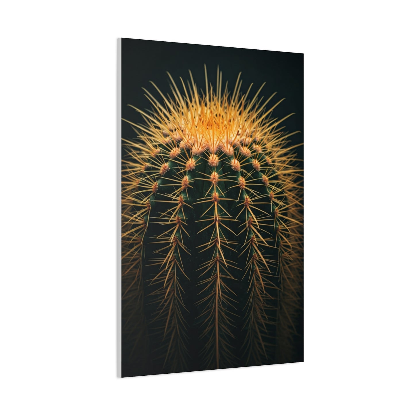 Sunset Crown Cactus Wall Art & Canvas Prints