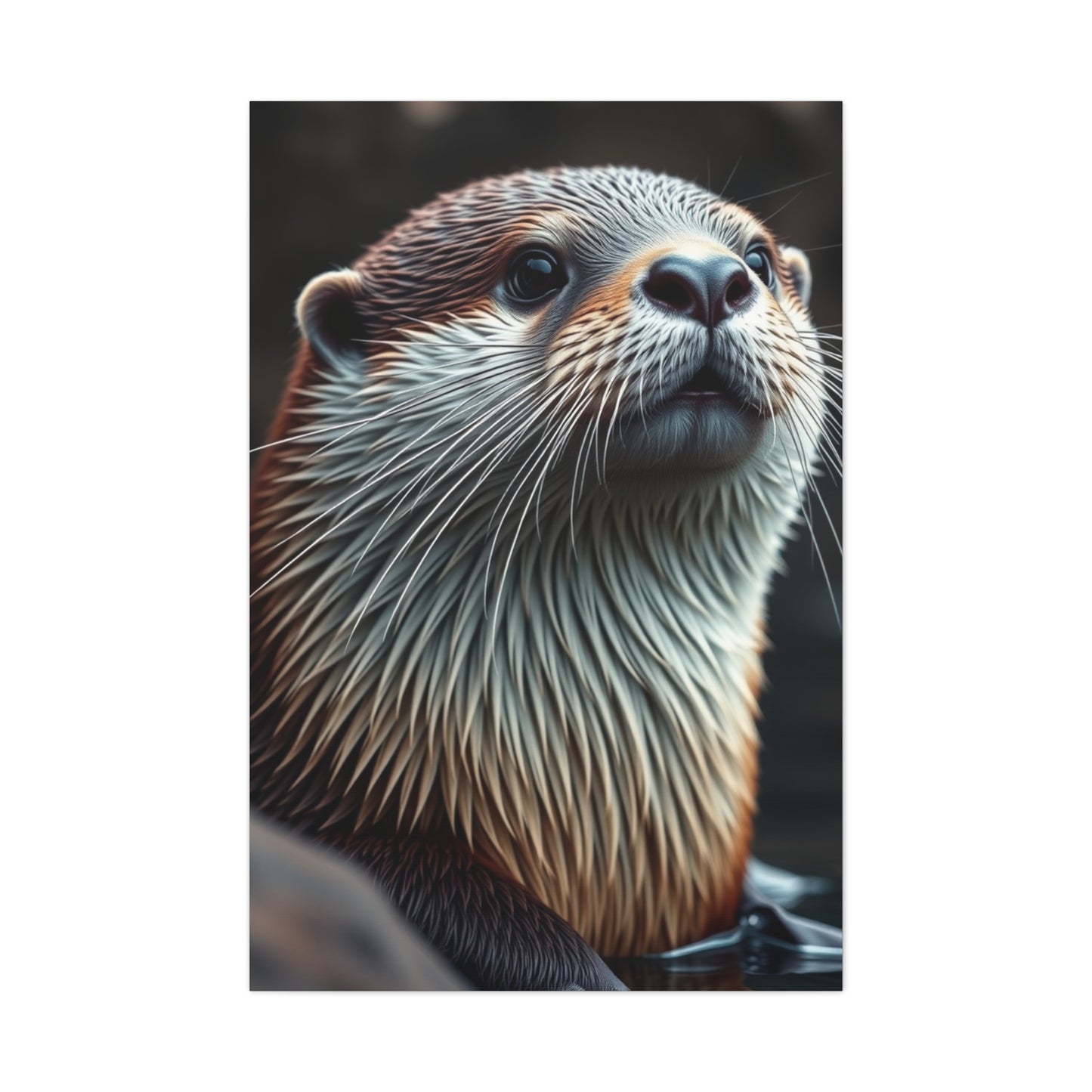 Supreme Otter Art Beautiful Collection Wall Art & Canvas Print