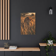 Lion Stalking Through Savannah Grass Wall Art & Canvas Print