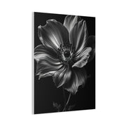 Anemone Bloom with Dramatic Center Wall Art & Canvas Prints