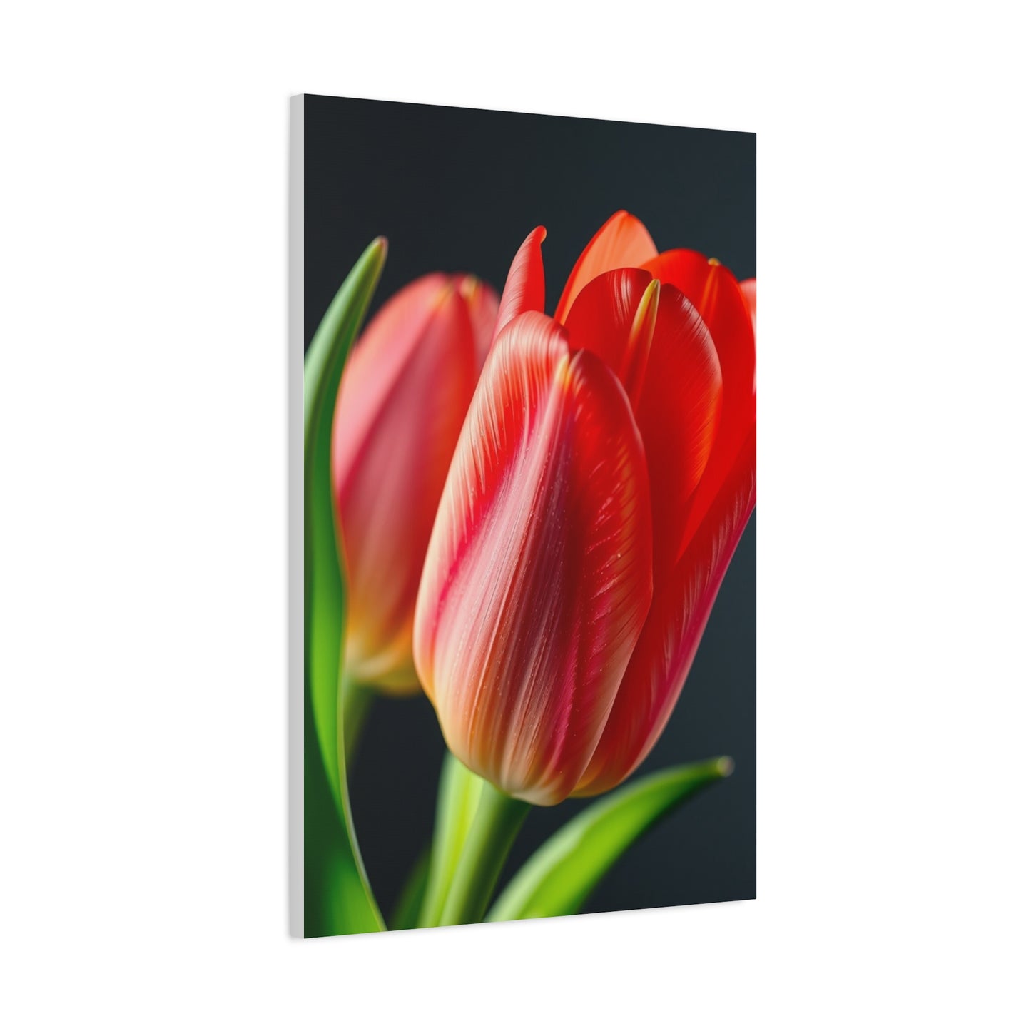 Tulip Flower Art Refined Canvas Wall Art & Canvas Print