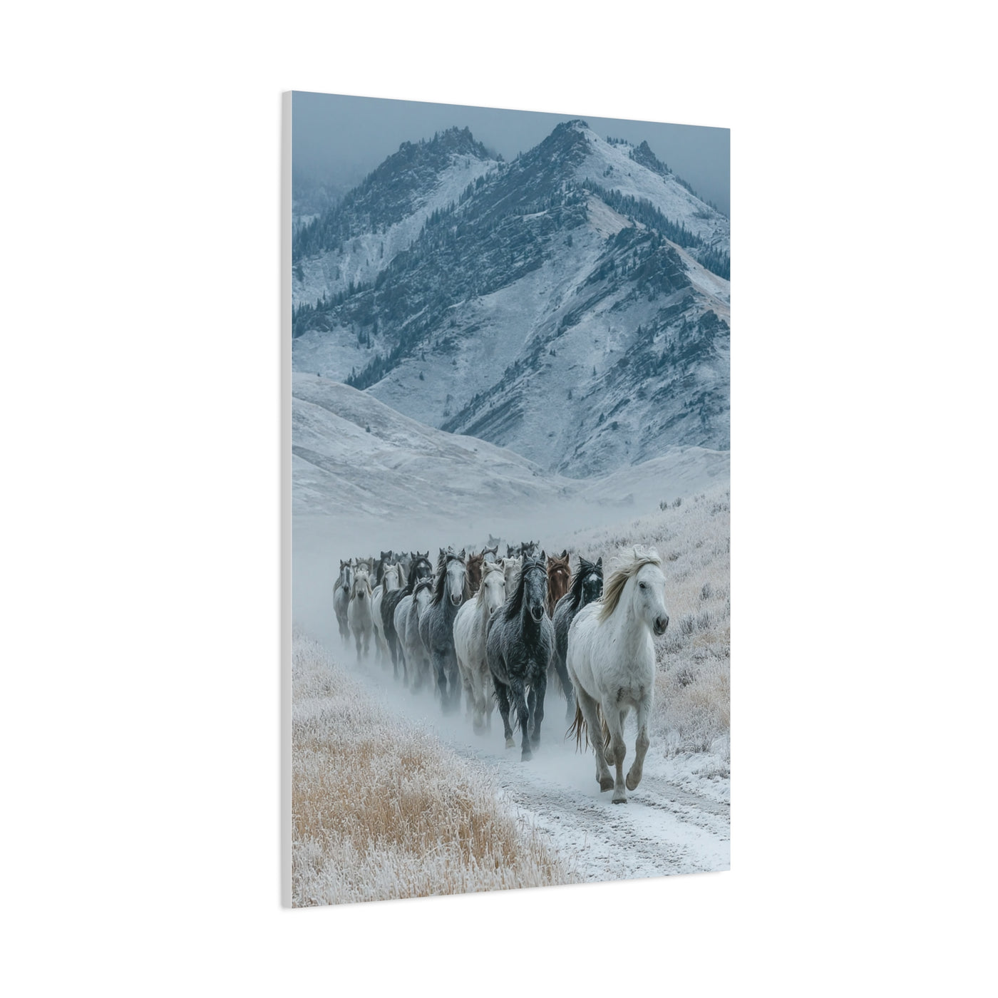 Wild Horse Herd Mountain Run Wall Art & Canvas Print
