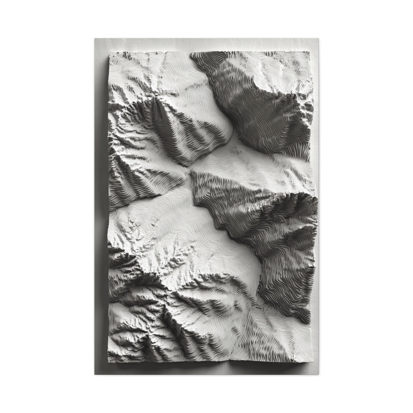 Sculpted Topographic Relief Wall Art & Canvas Print