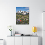 High Alpine Wildflower Meadow Wall Art & Canvas Print
