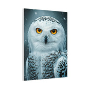 Snowy Owl with Golden Eyes Wall Art & Canvas Prints