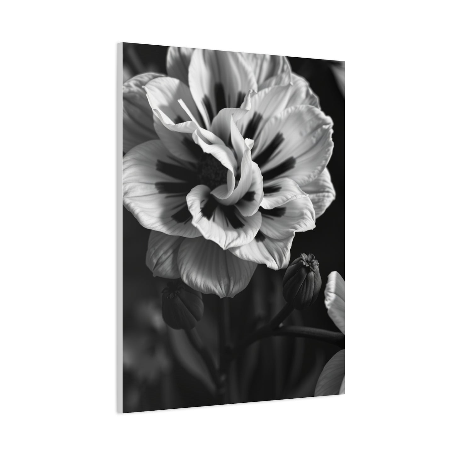 Chiaroscuro Botanical Canvas Wall Art & Canvas Print