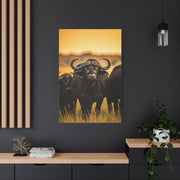 Buffalo Herd in Golden African Sunset Wall Art & Canvas Print