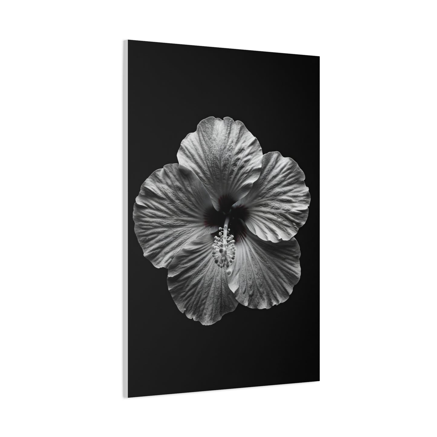 Monochrome Hibiscus Elegance Wall Art & Canvas Prints