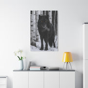 Midnight Black Wolf Aspen Forest Portrait Wall Art & Canvas Print