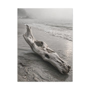 Driftwood Coastal Minimal Wall Art & Canvas Print