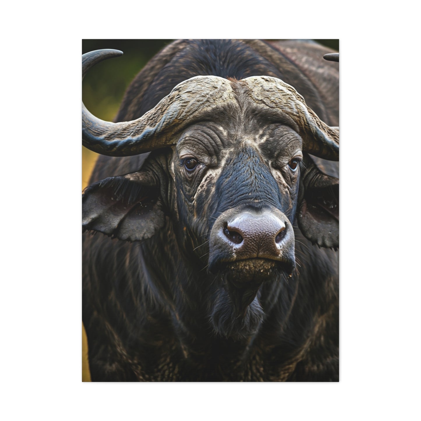 Mud-Covered Water Buffalo Close-Up Wall Art & Canvas Print