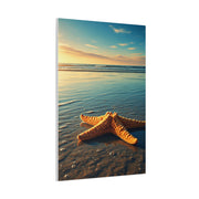 Starfish Resting in Shallow Sunset Waters Wall Art & Canvas Prints