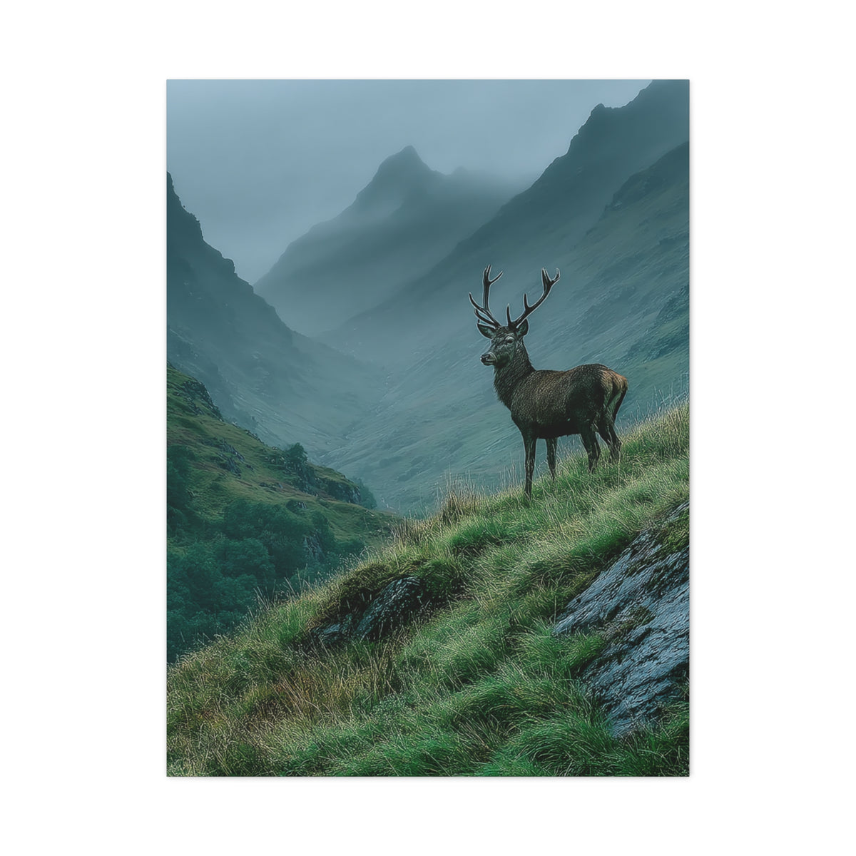 Highland Valley Stag Vista Wall Art & Canvas Print
