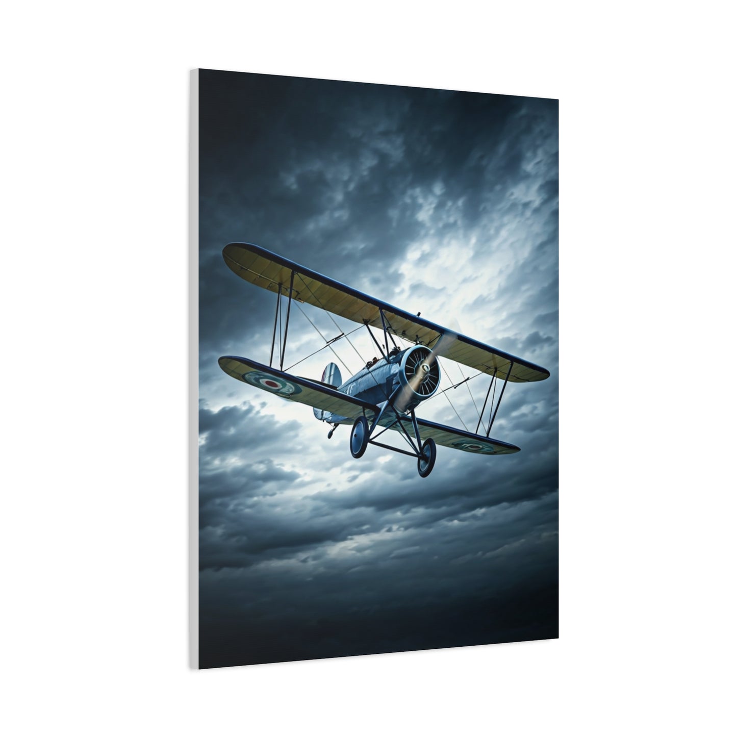 Stormbound Biplane Flight Wall Art & Canvas Prints