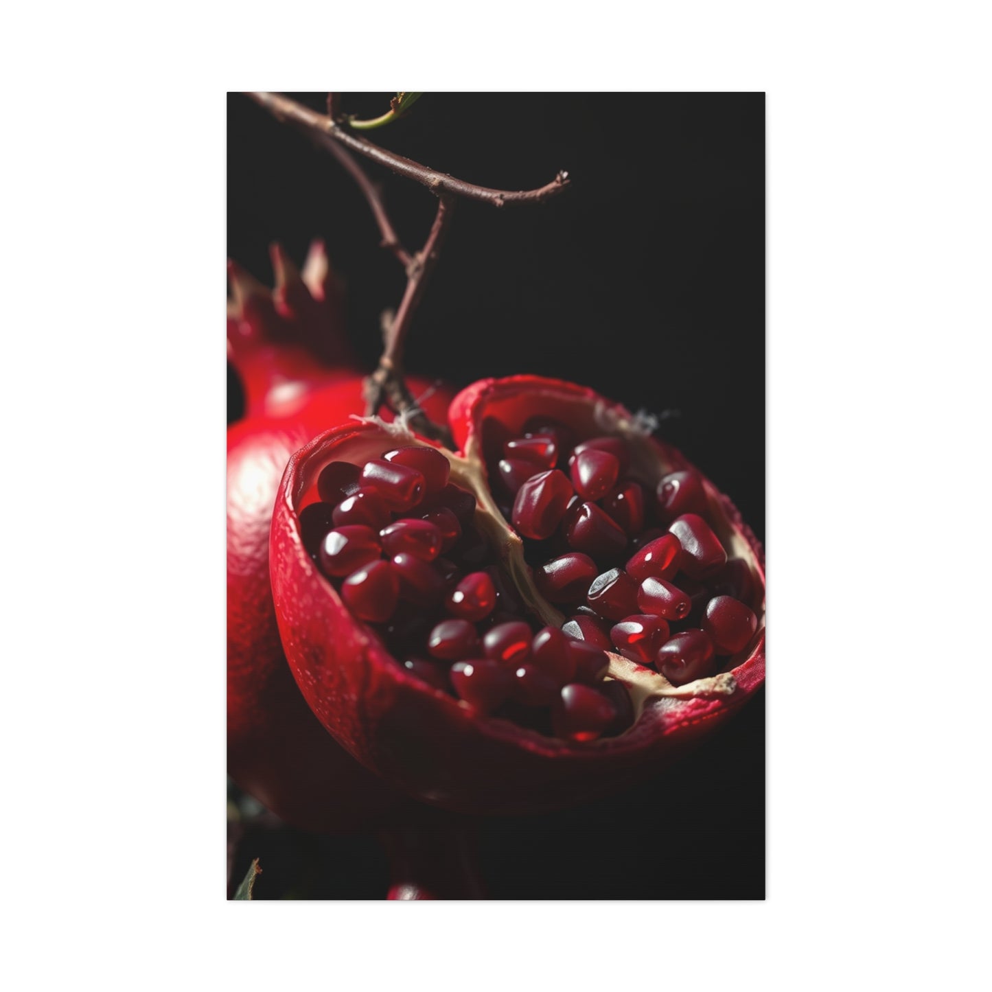 Supreme Pomegranate Noir Wall Art Beautiful Collection Wall Art & Canvas Print